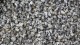Silver Granite Silver Granite