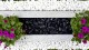 30mm Polished Black Pebbles 30mm Polished Black Pebbles