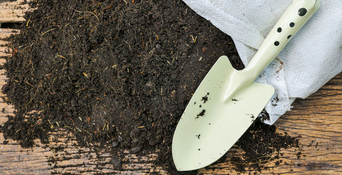 When to Use Topsoil
